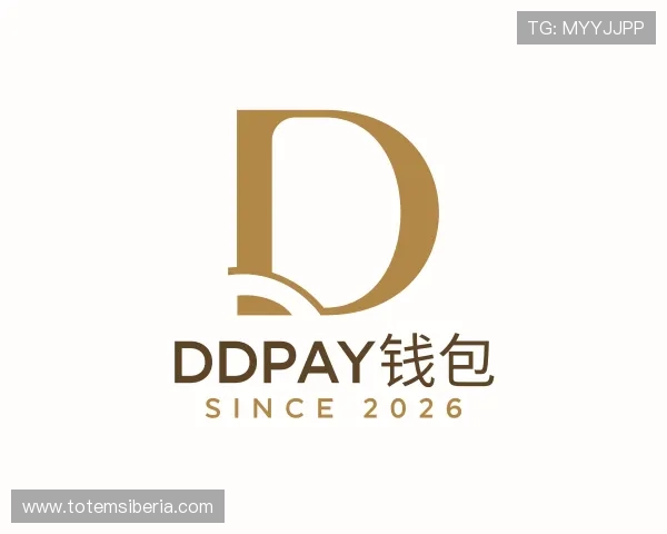 认识DDpay钱包